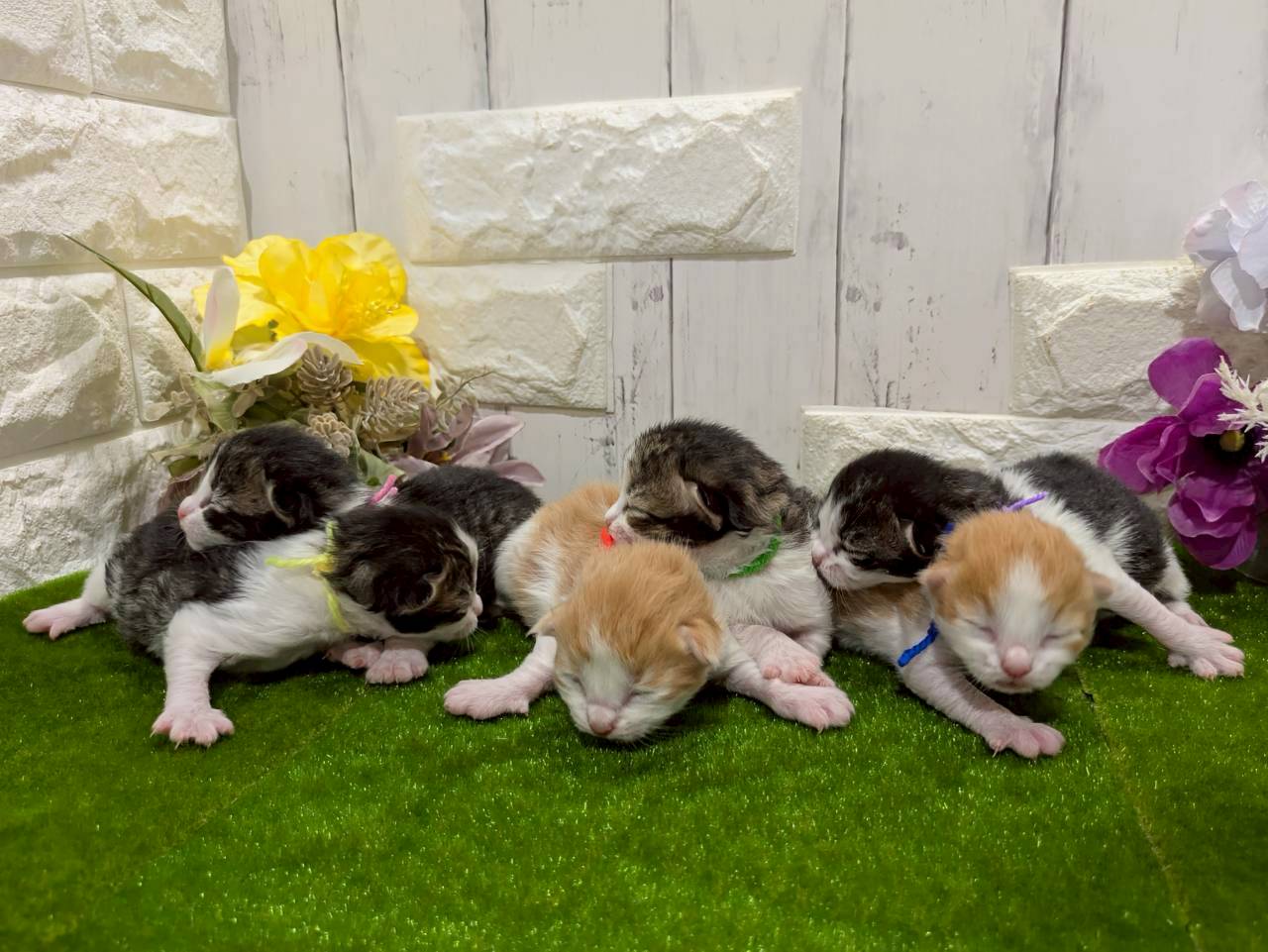 赤ちゃん写真1-3