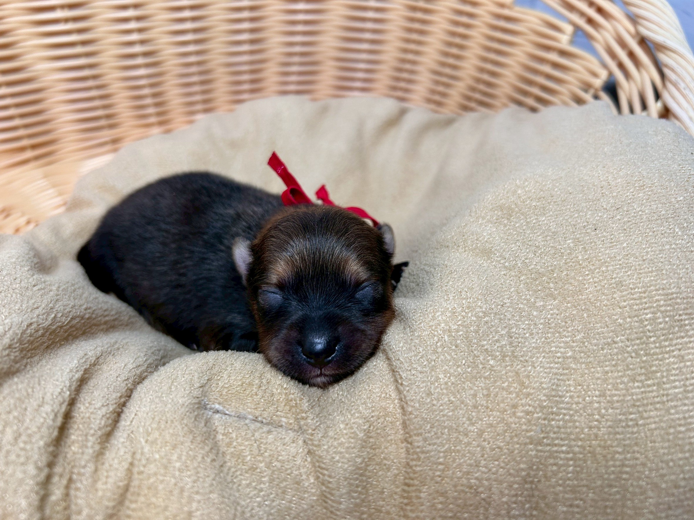 赤ちゃん写真1-1