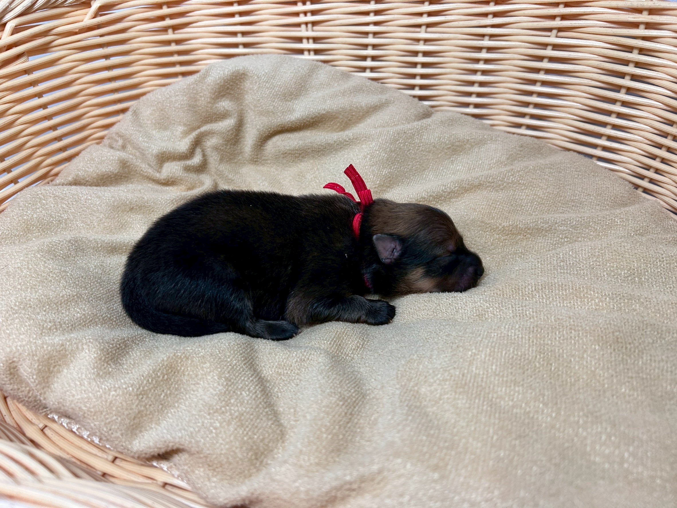 赤ちゃん写真1-2