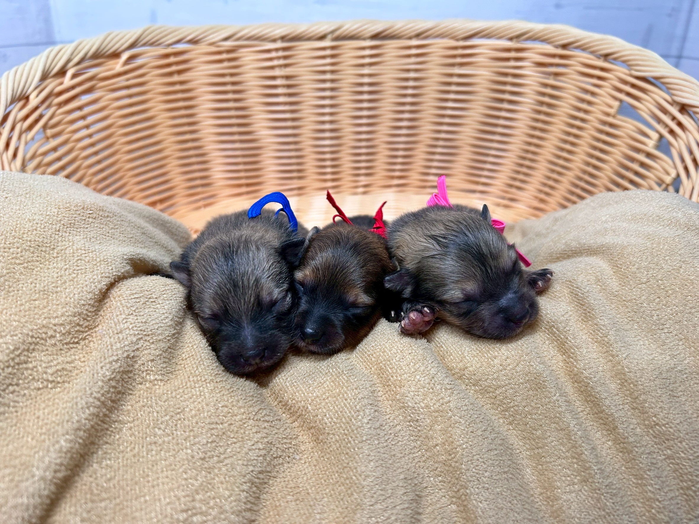 赤ちゃん写真1-3