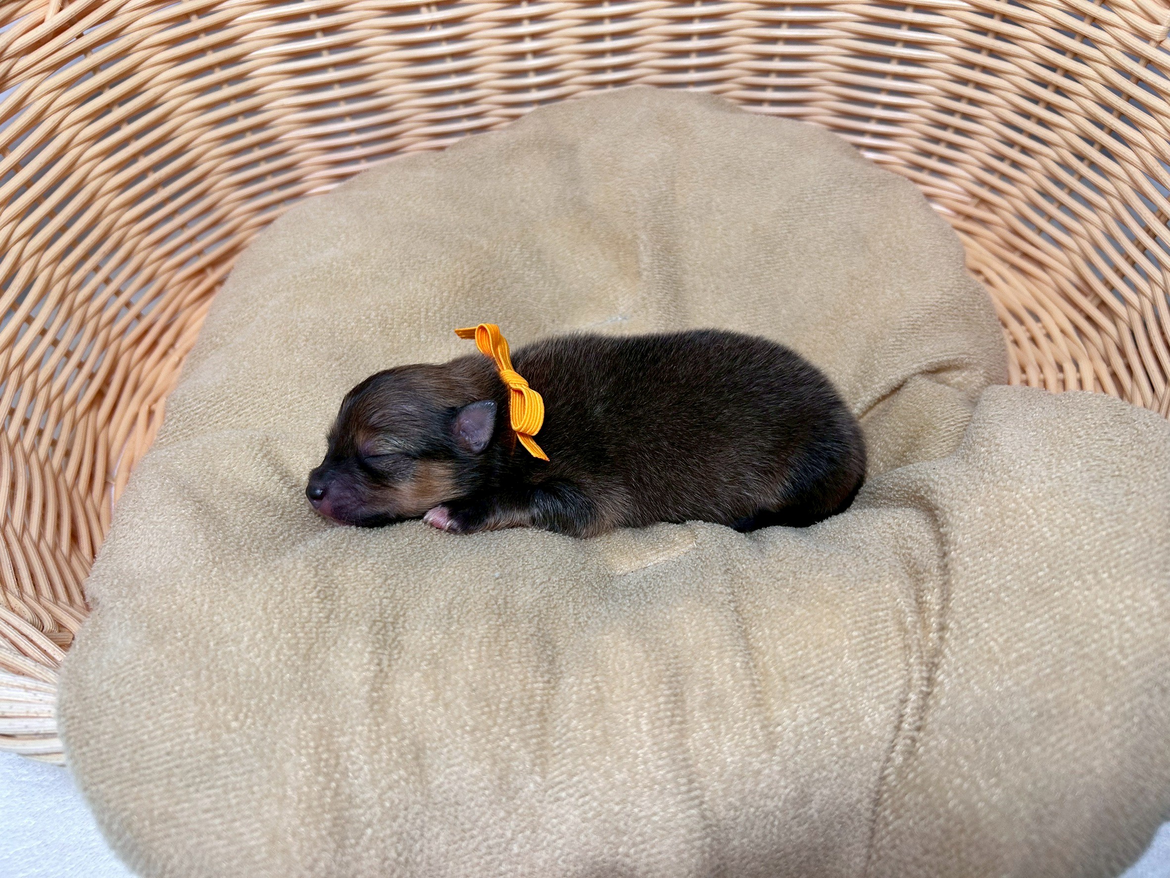 赤ちゃん写真1-2