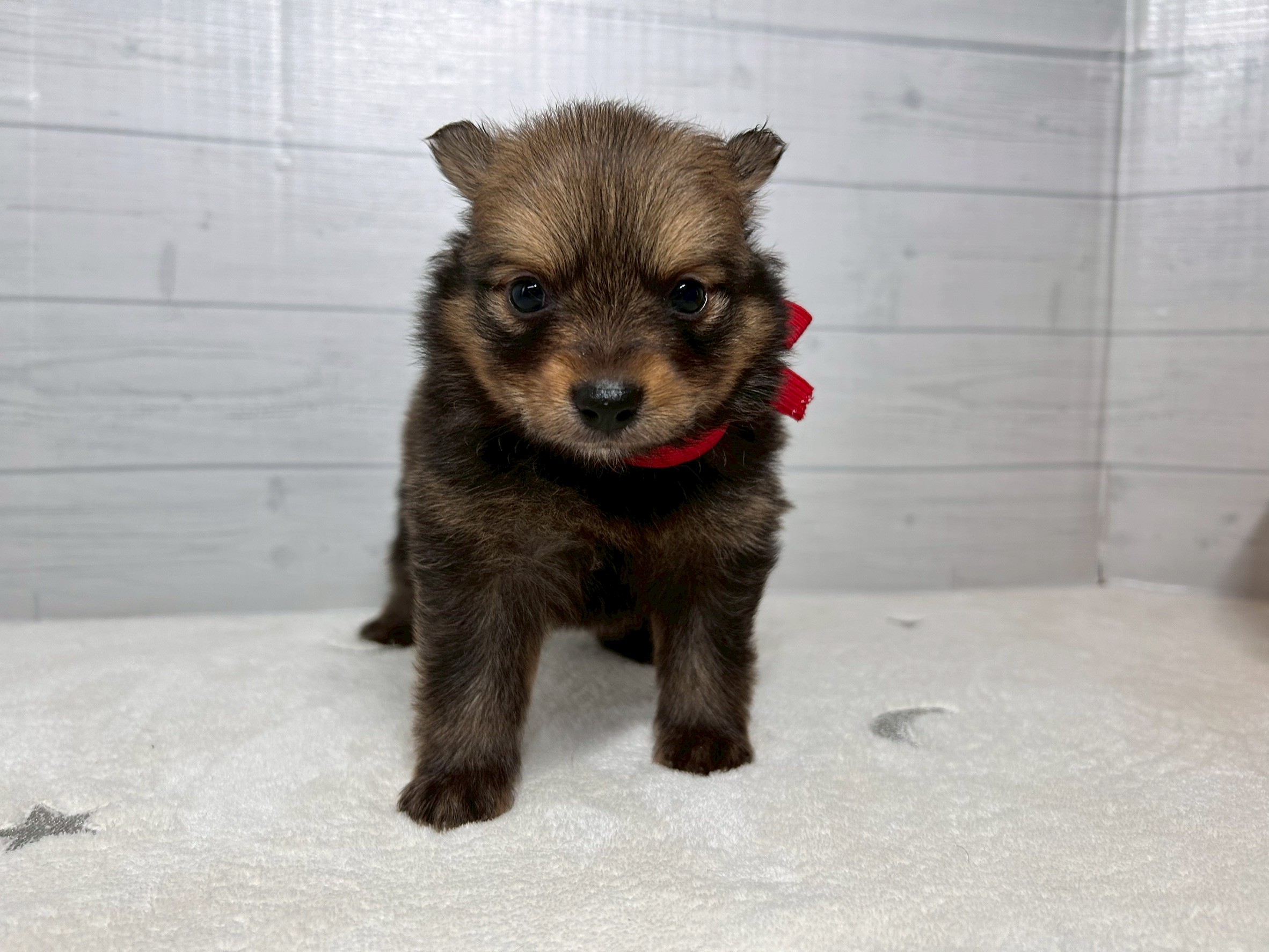 赤ちゃん写真2-1