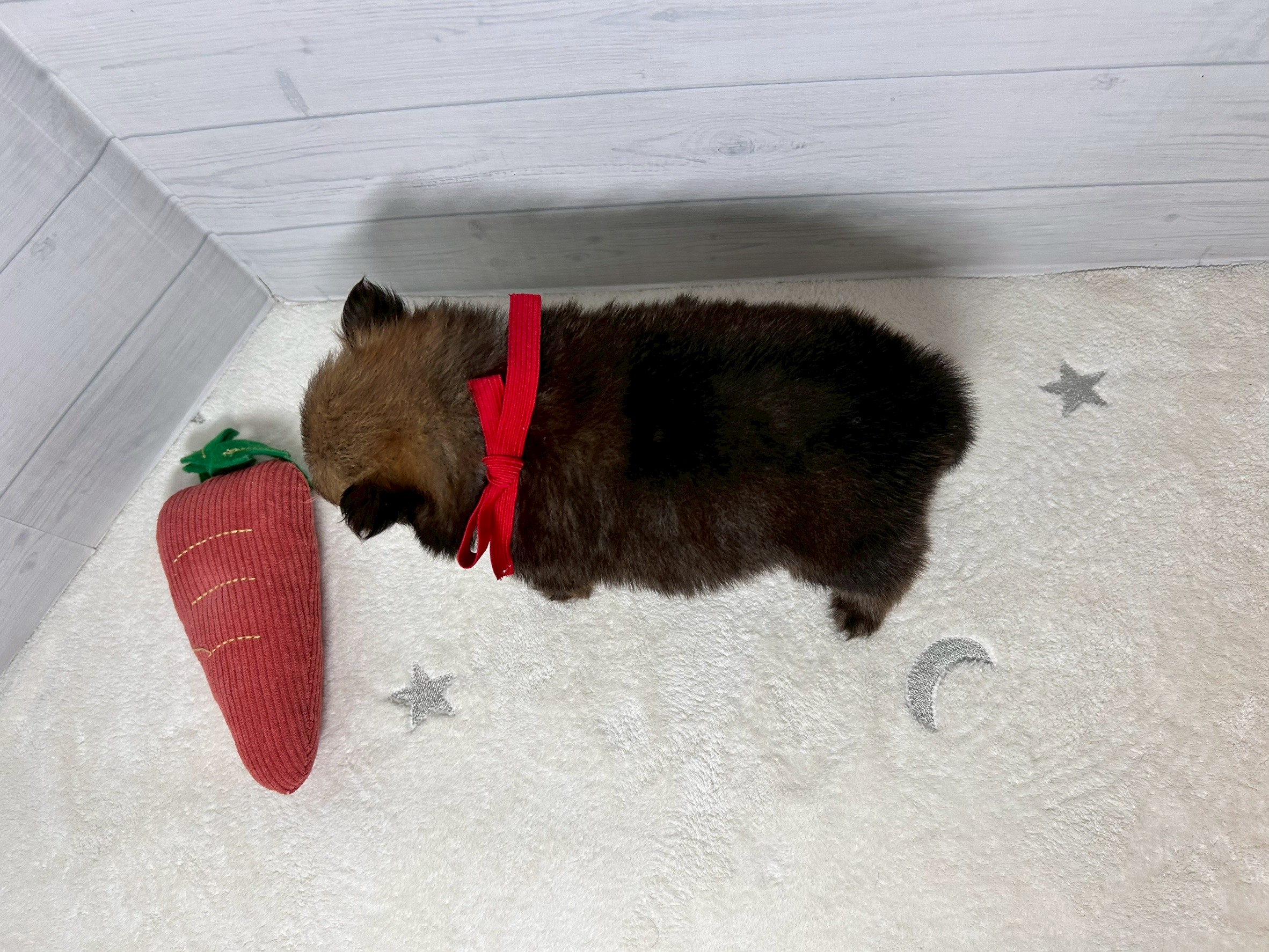 赤ちゃん写真2-3