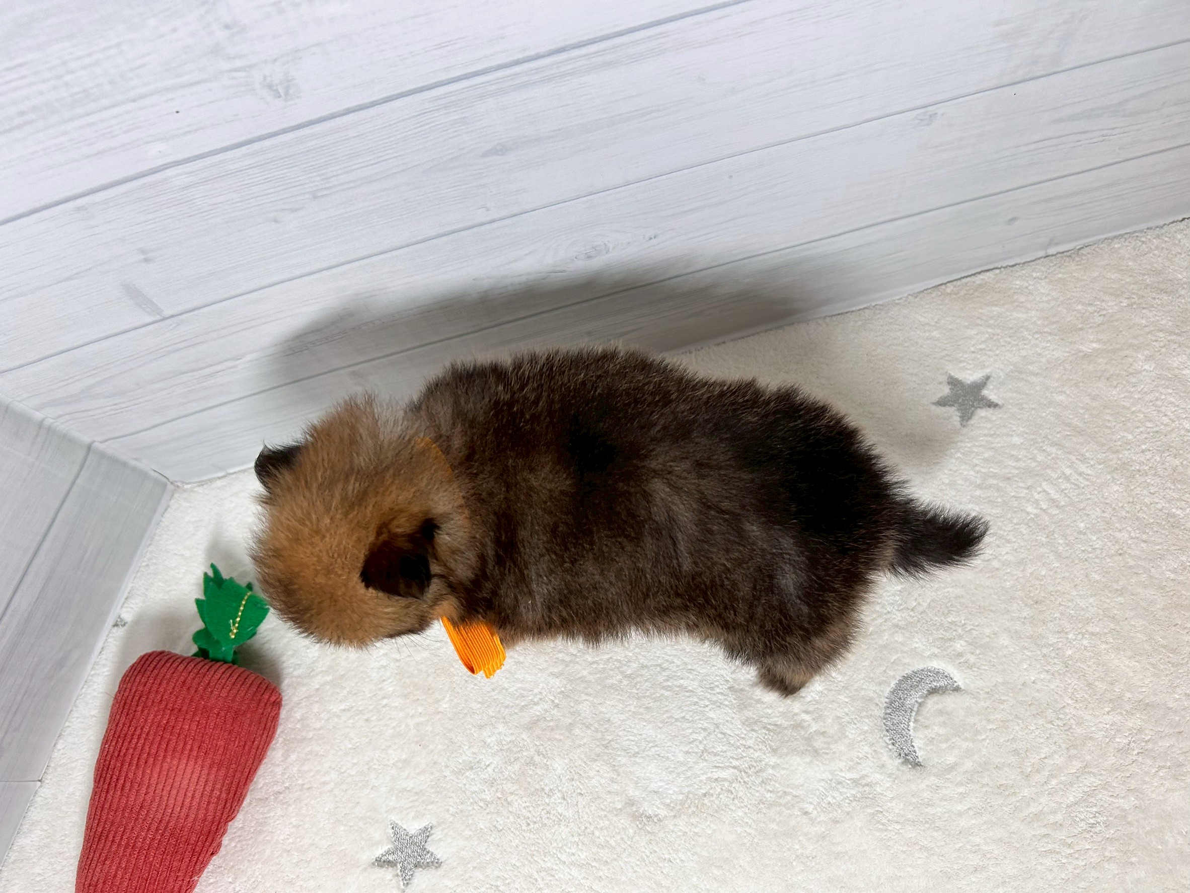 赤ちゃん写真2-3