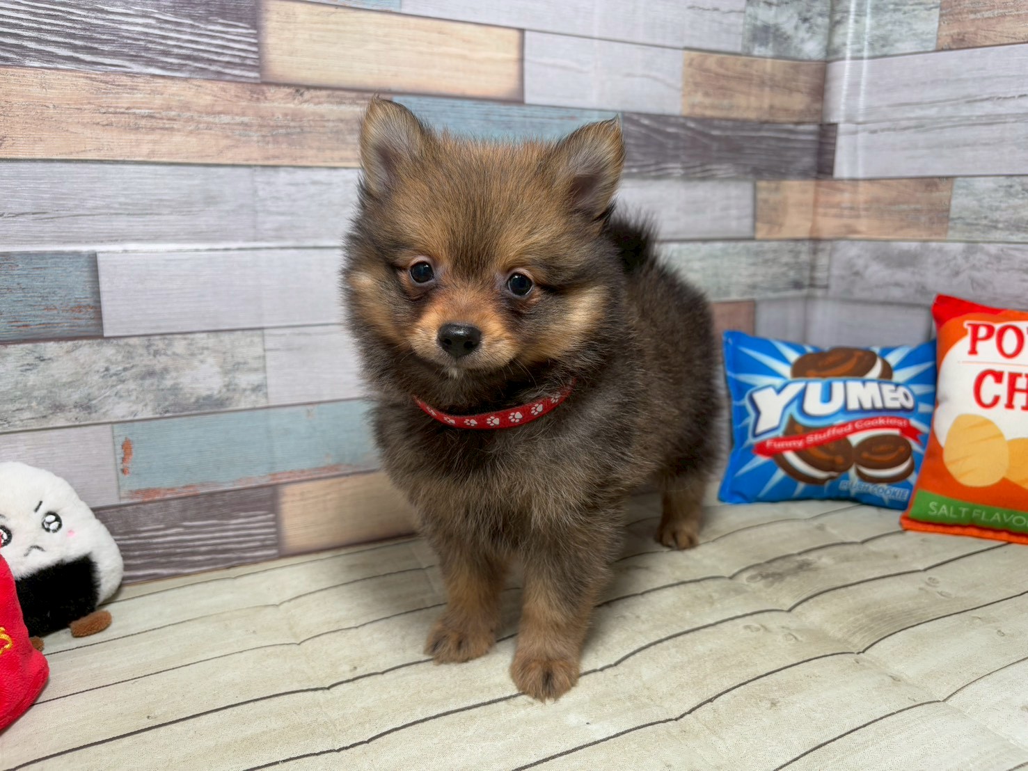 赤ちゃん写真3-1