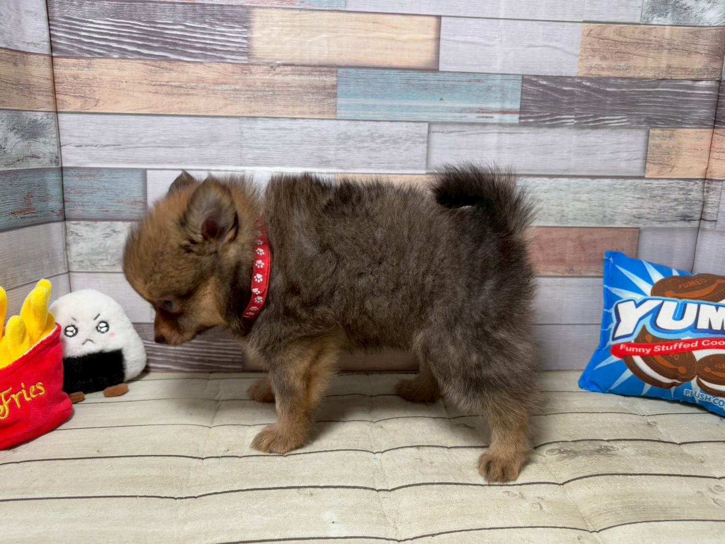 赤ちゃん写真3-2