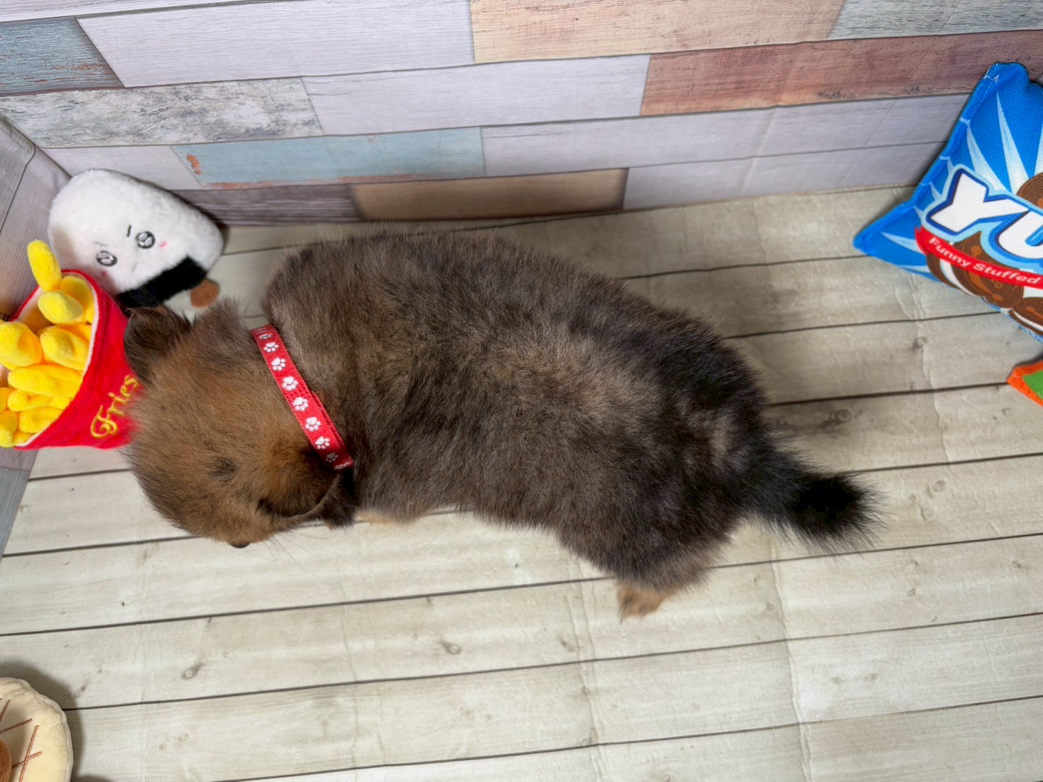 赤ちゃん写真3-3