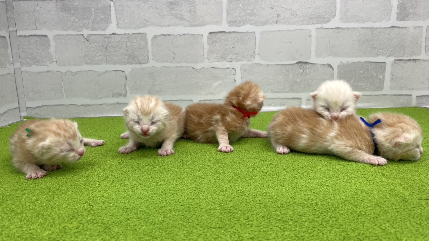 赤ちゃん写真1-3