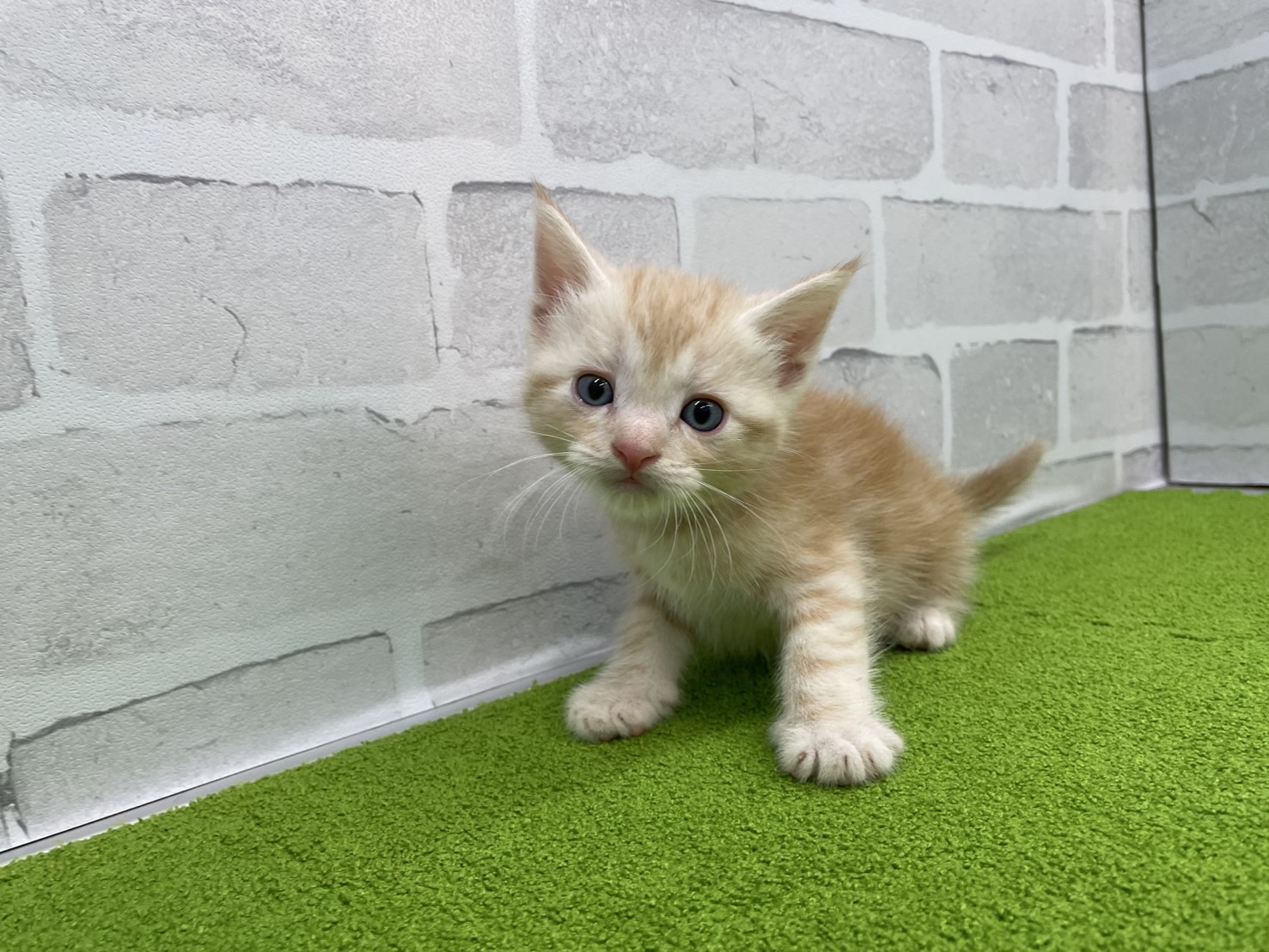 赤ちゃん写真2-1