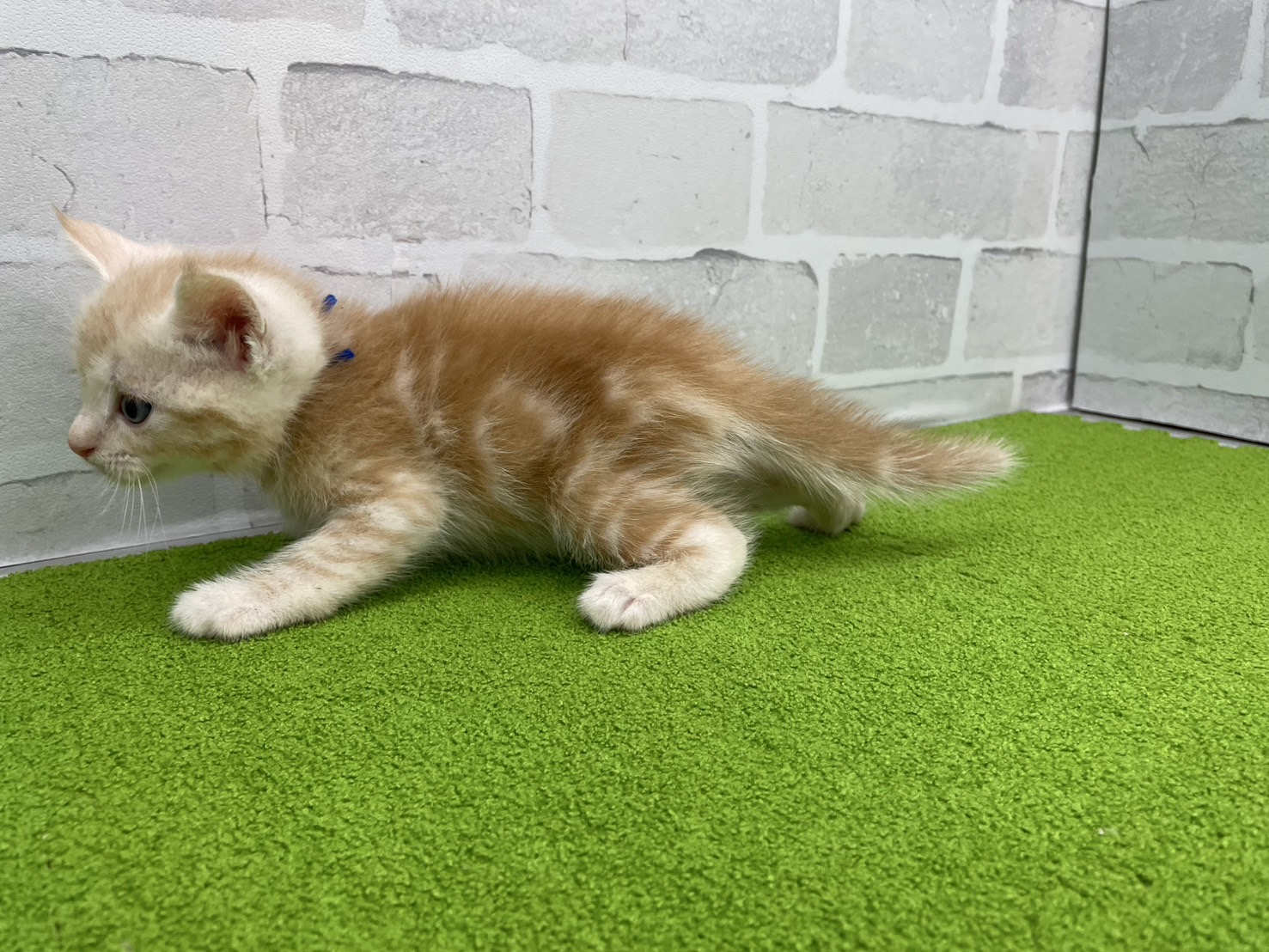 赤ちゃん写真2-2