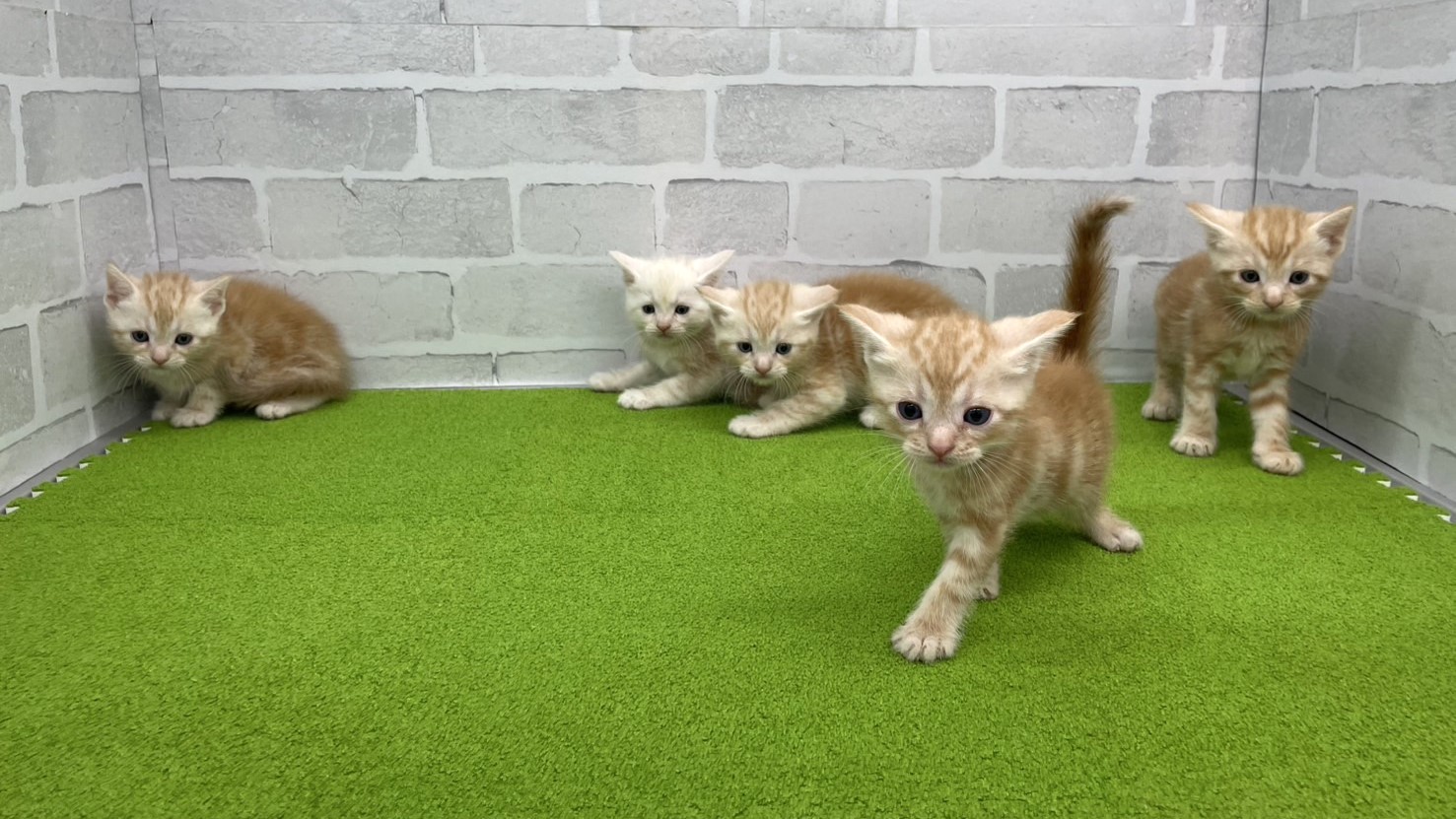 赤ちゃん写真2-3