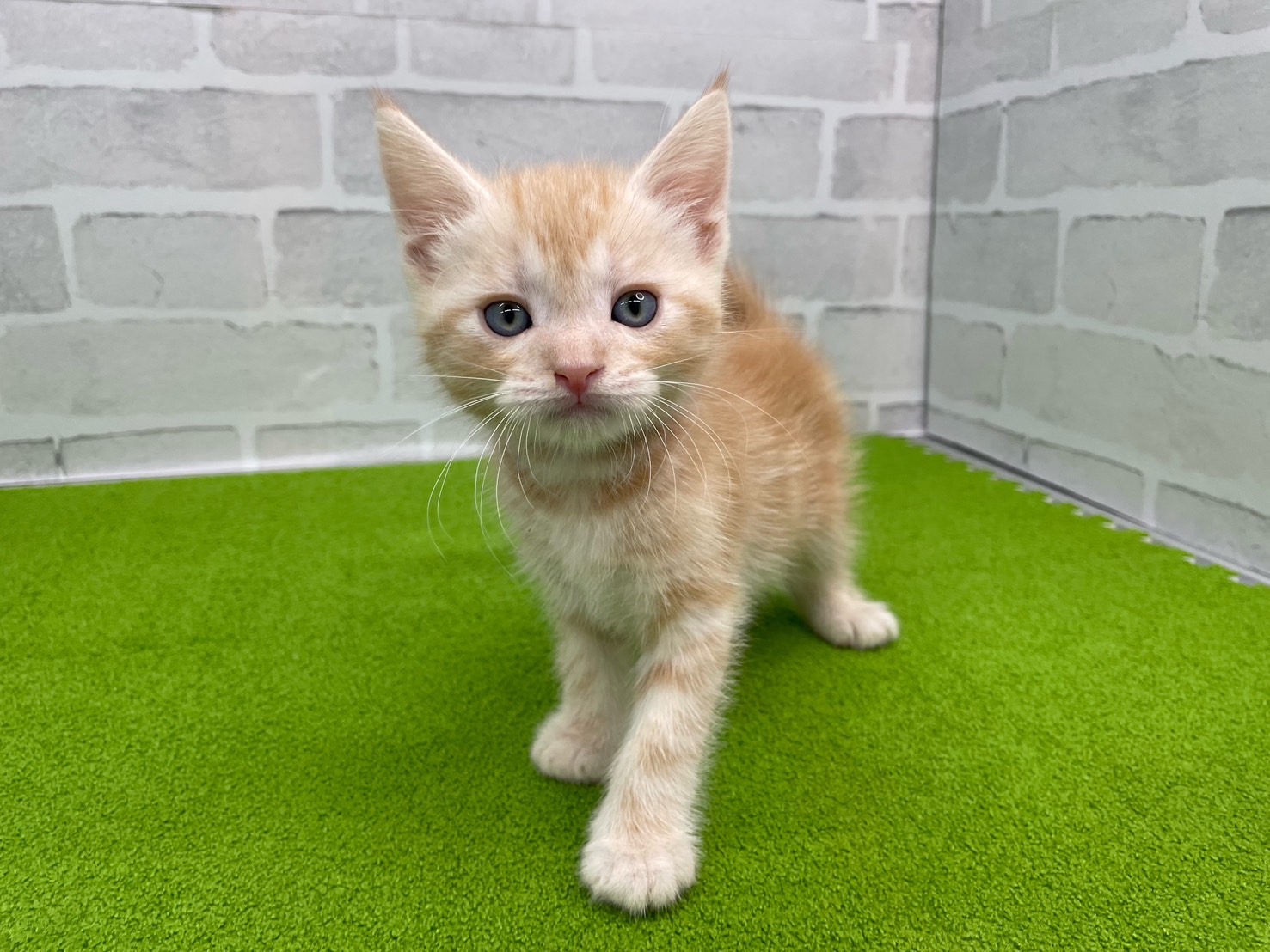 赤ちゃん写真3-1