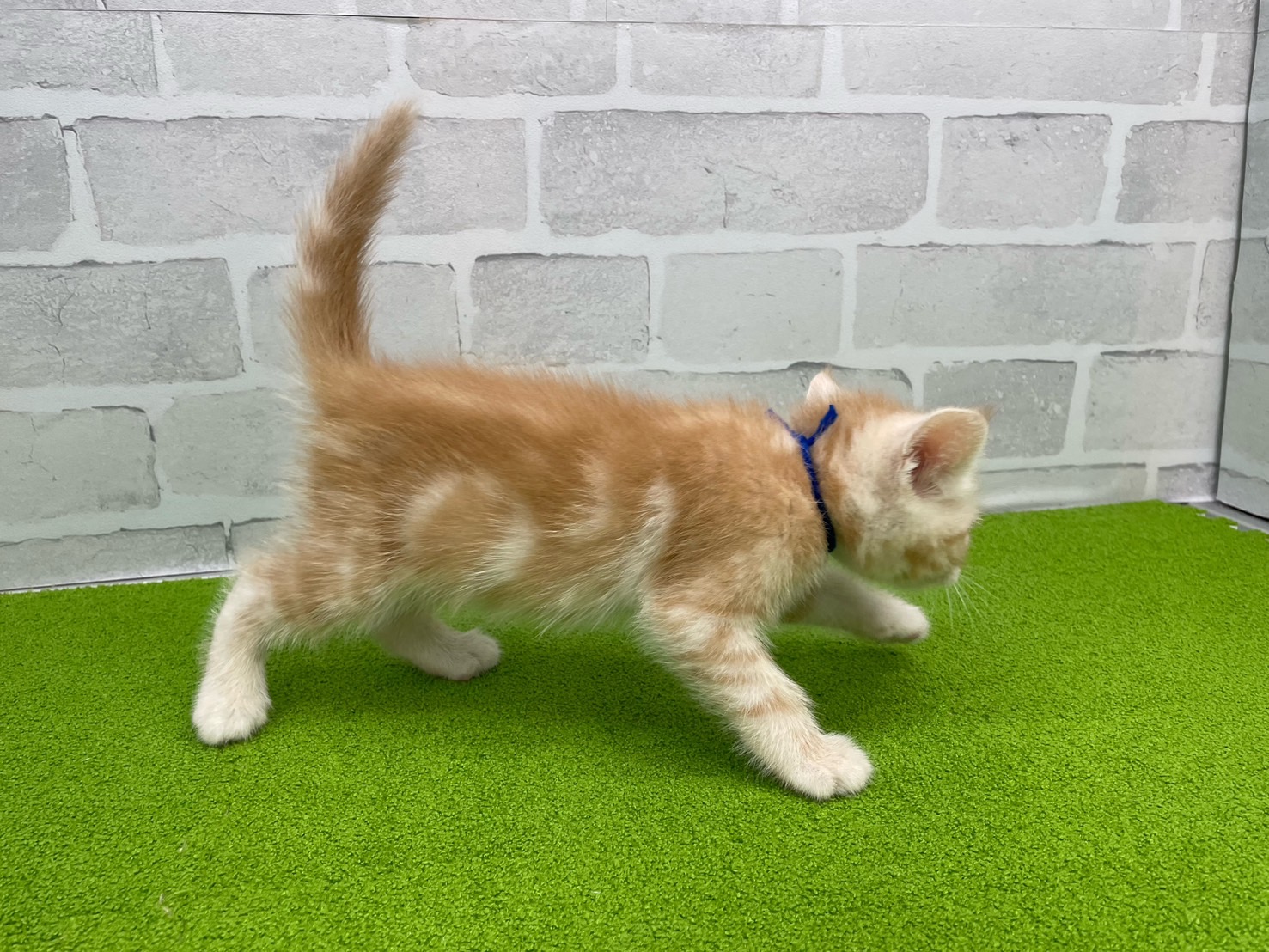 赤ちゃん写真3-2