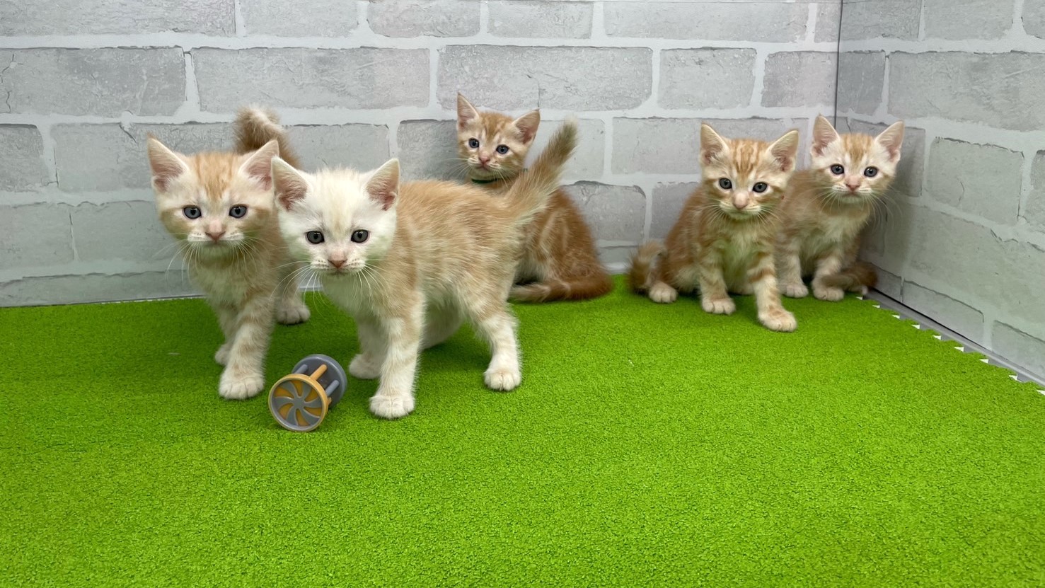 赤ちゃん写真3-3