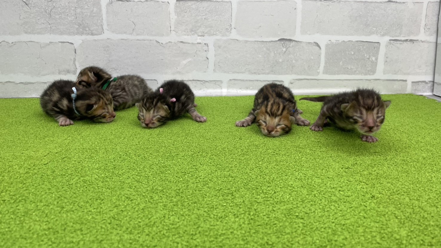 赤ちゃん写真1-3