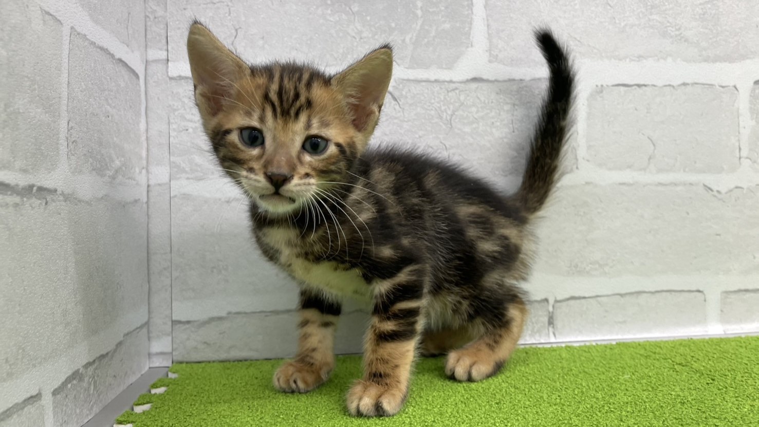 赤ちゃん写真3-1
