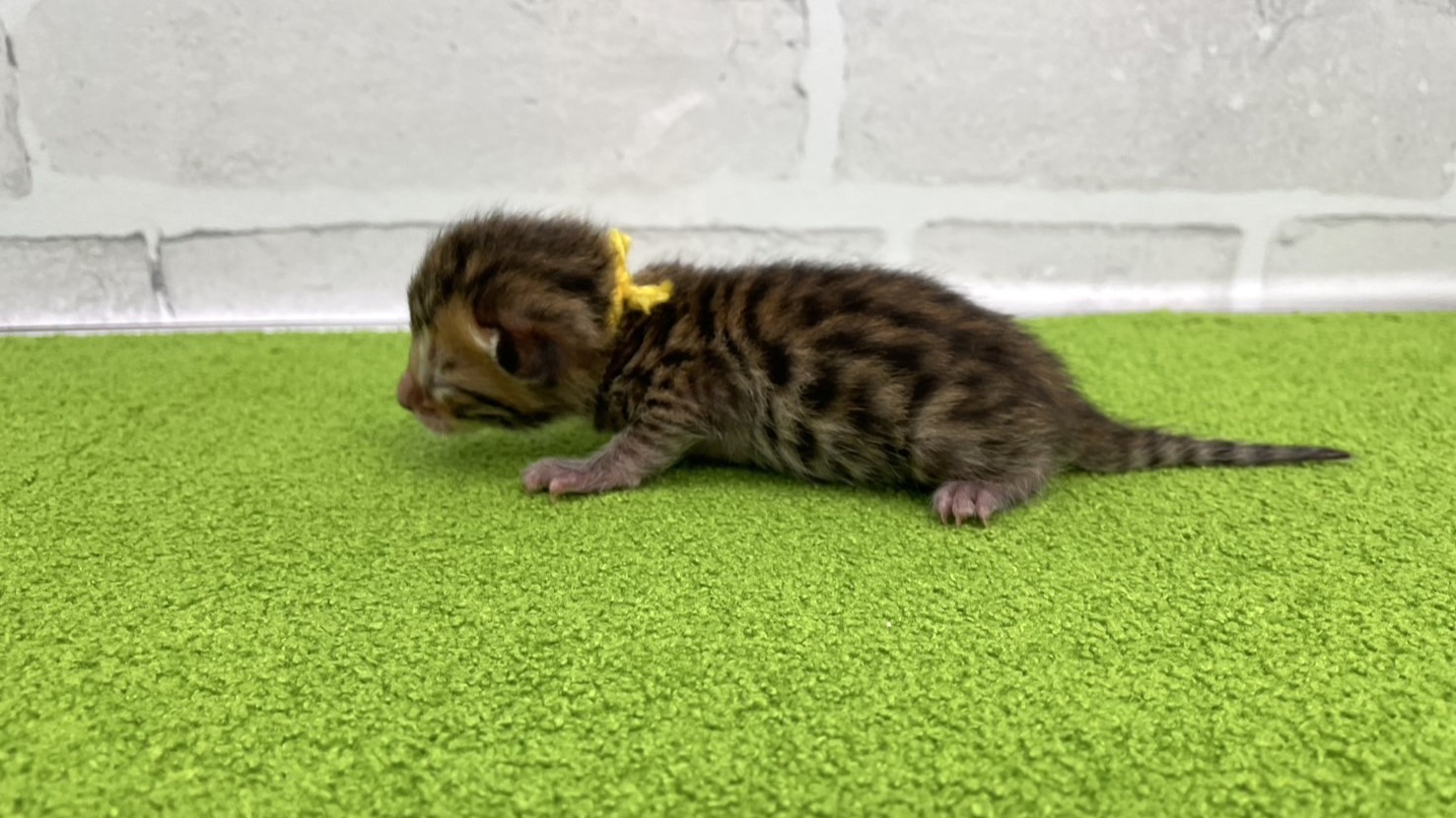 赤ちゃん写真1-2