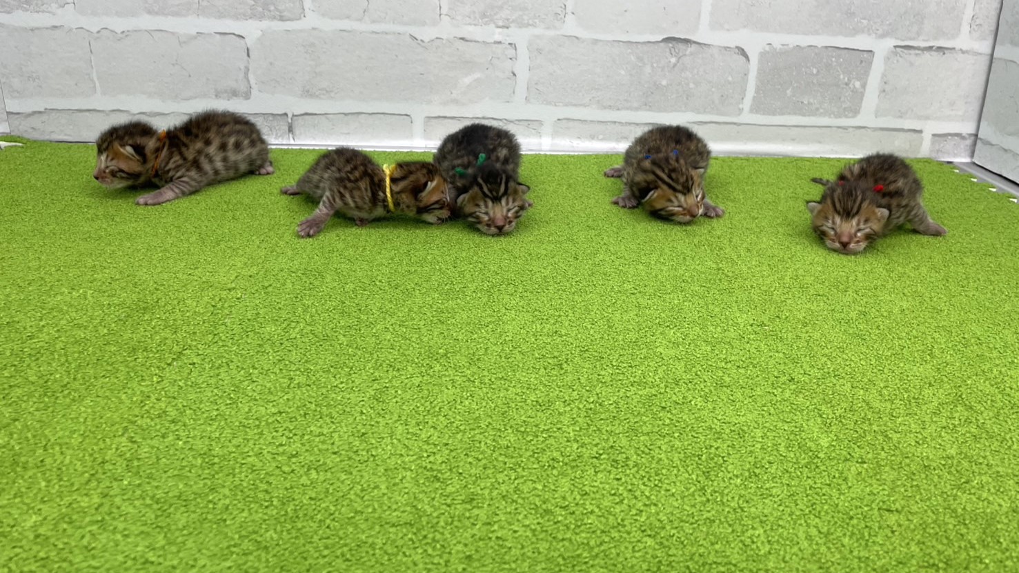 赤ちゃん写真1-3