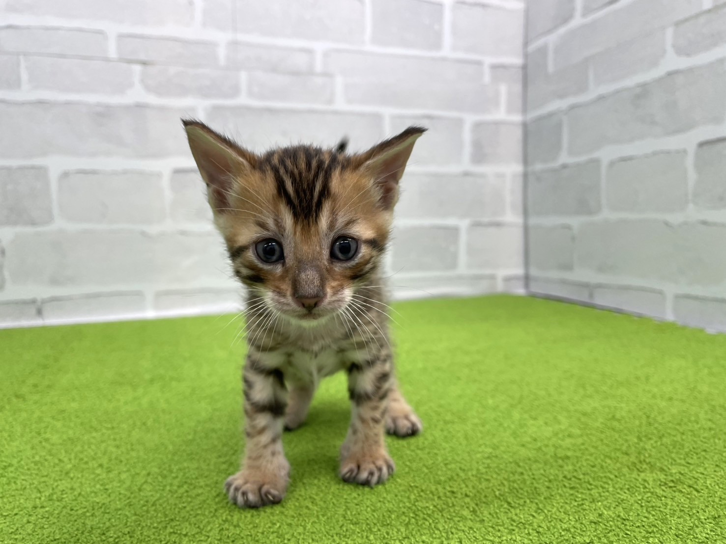 赤ちゃん写真2-1