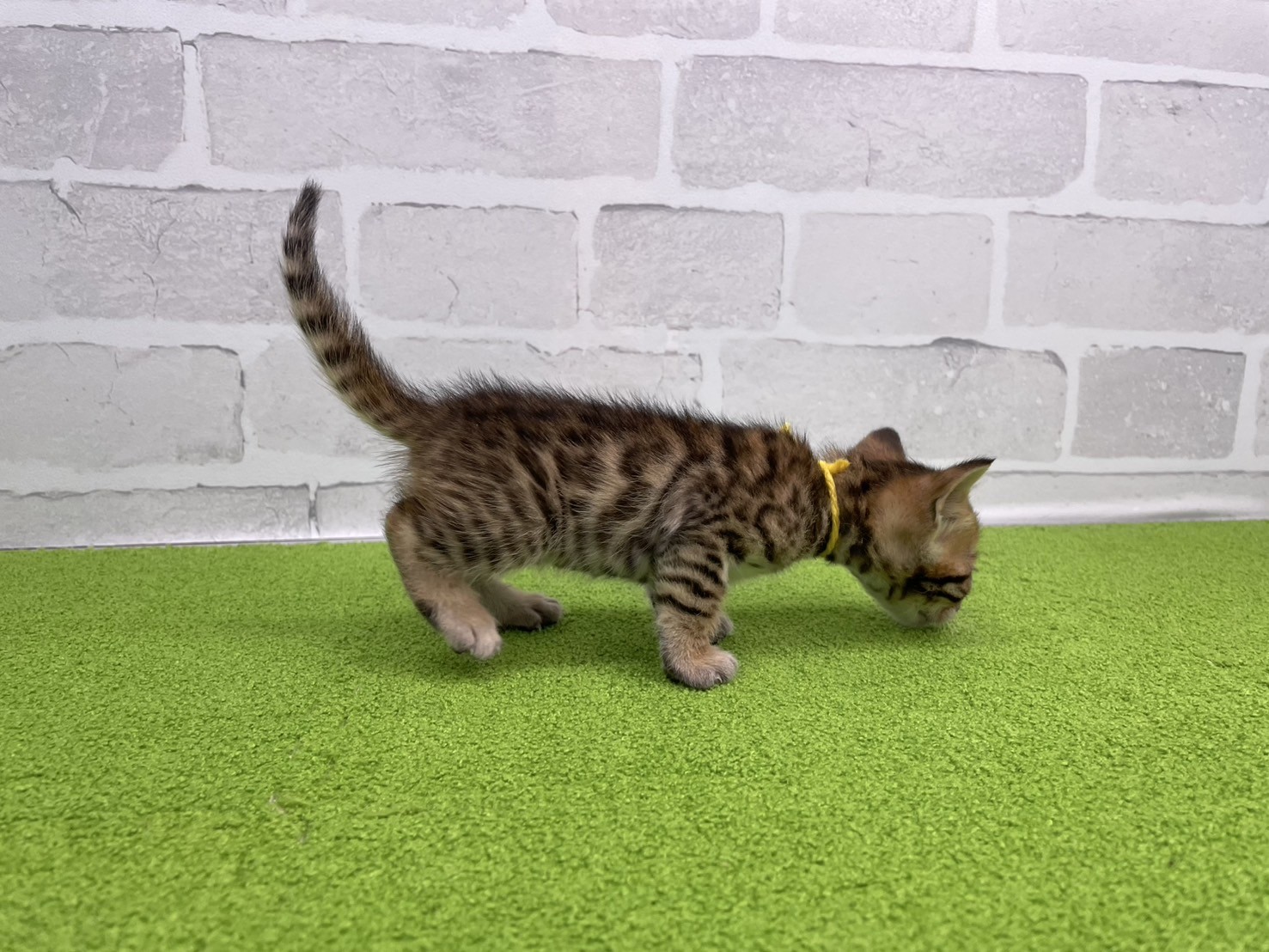 赤ちゃん写真2-2