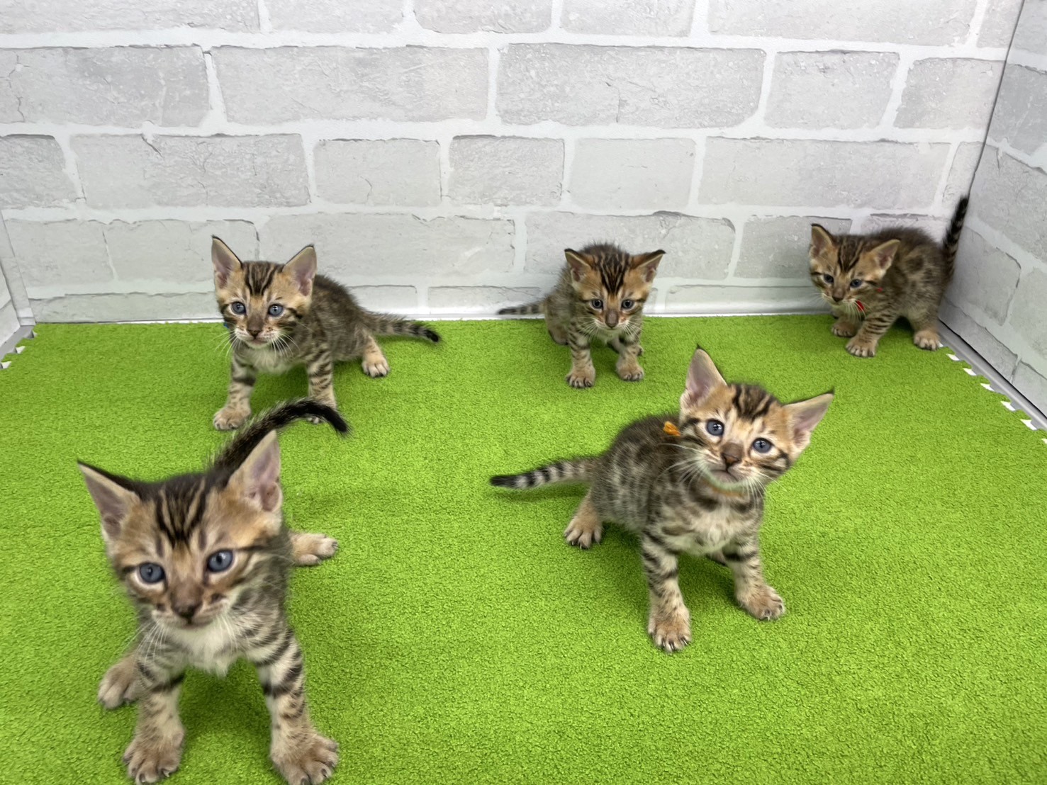 赤ちゃん写真2-3