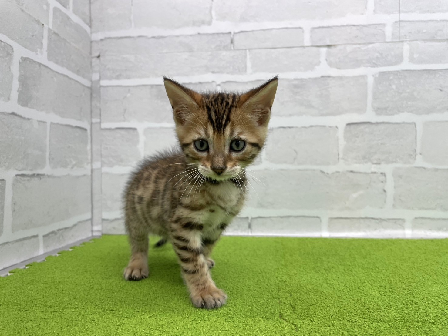 赤ちゃん写真3-1