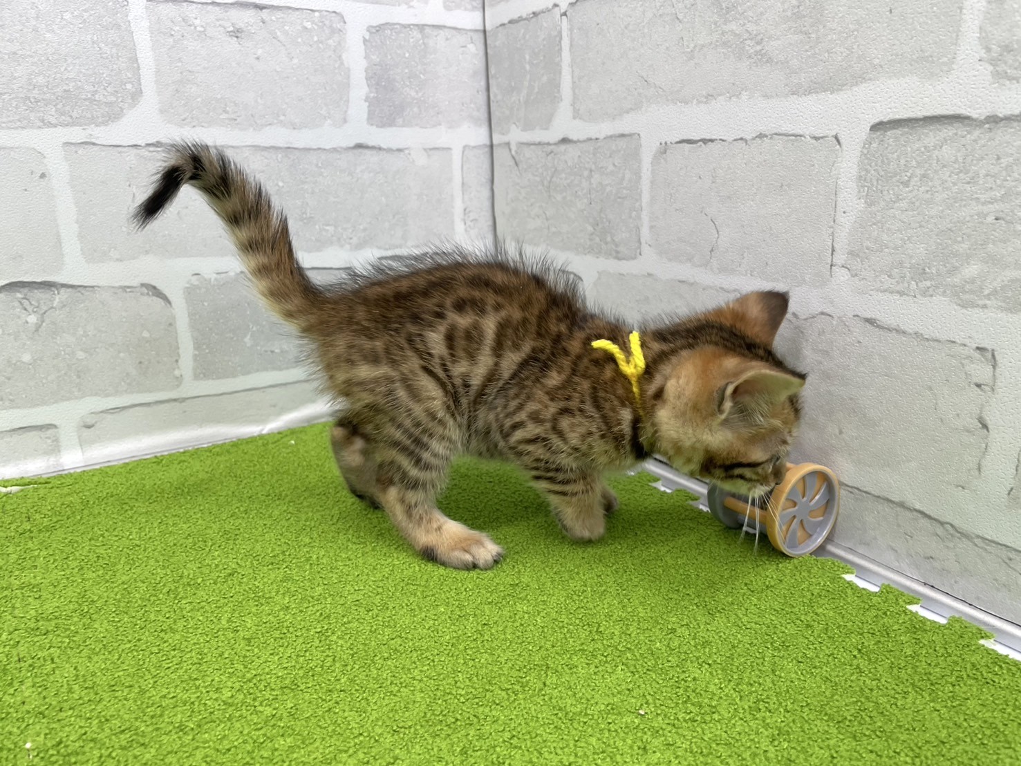 赤ちゃん写真3-2