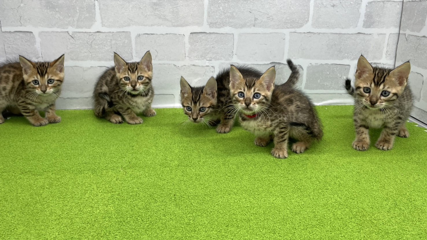 赤ちゃん写真3-3