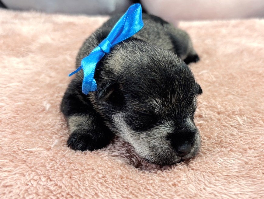 赤ちゃん写真1-1