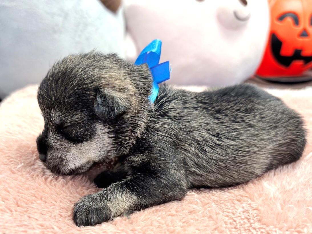 赤ちゃん写真1-2