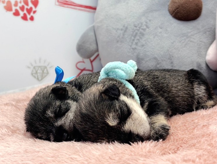 赤ちゃん写真1-3