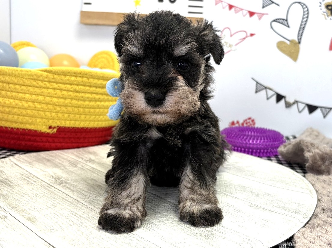 赤ちゃん写真2-1