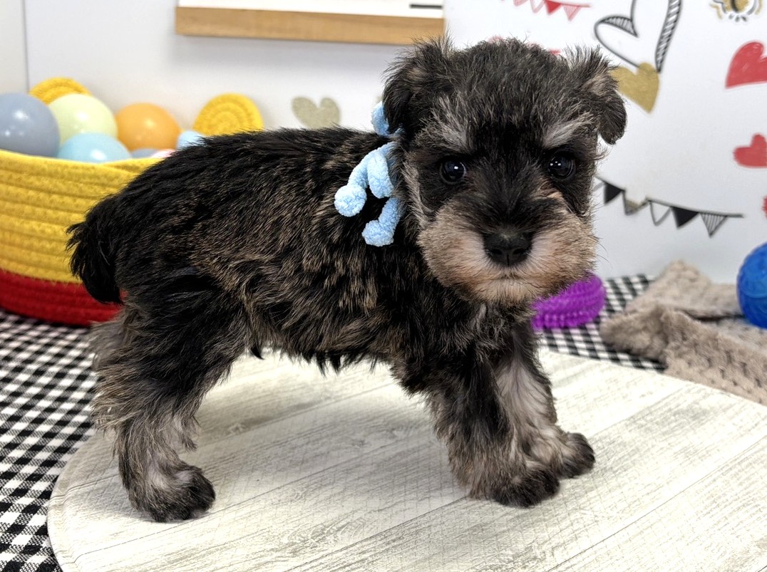 赤ちゃん写真2-2