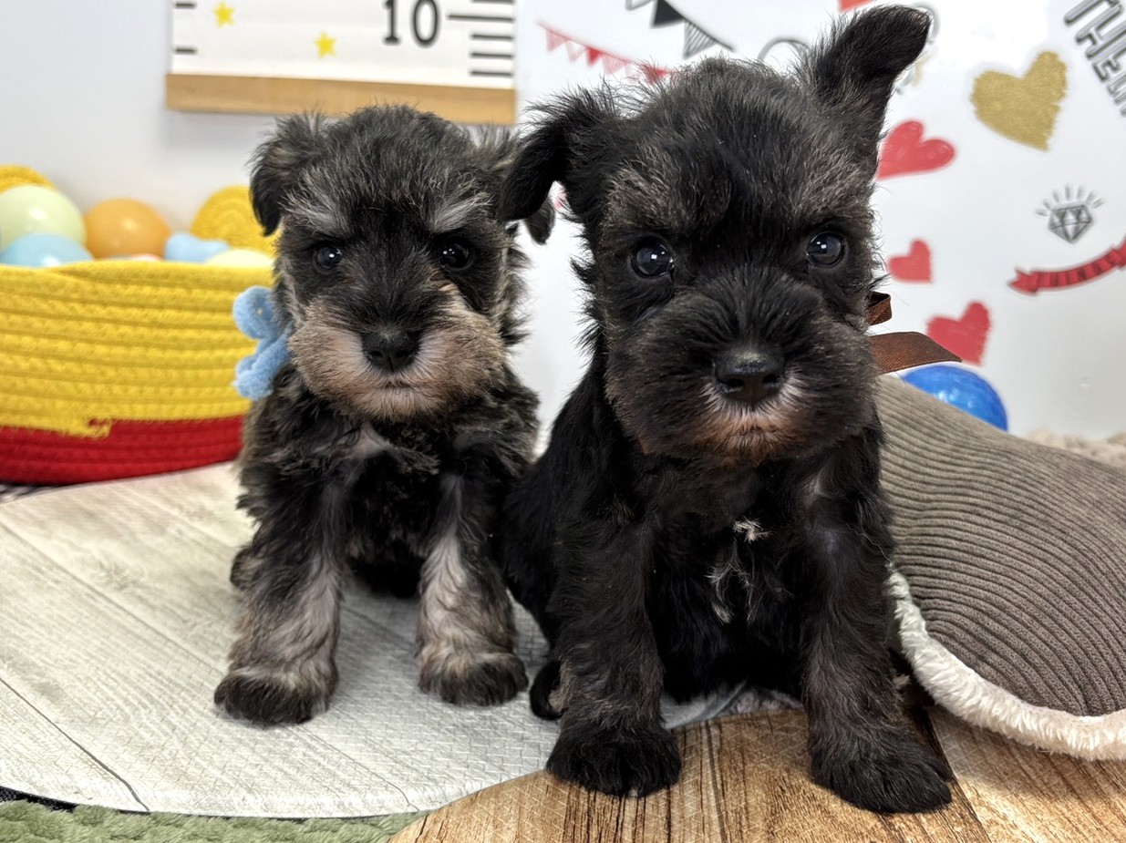 赤ちゃん写真2-3