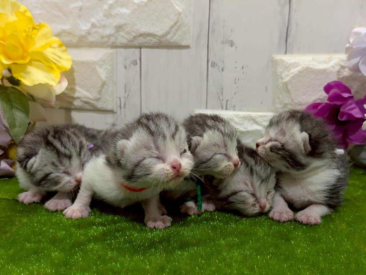 赤ちゃん写真1-3