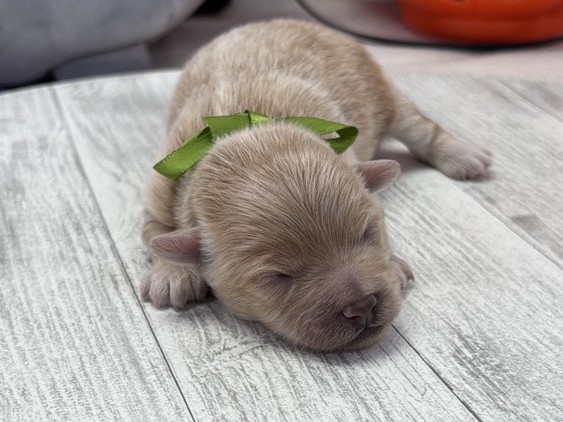 赤ちゃん写真1-1