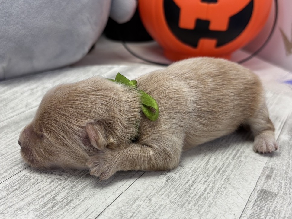 赤ちゃん写真1-2