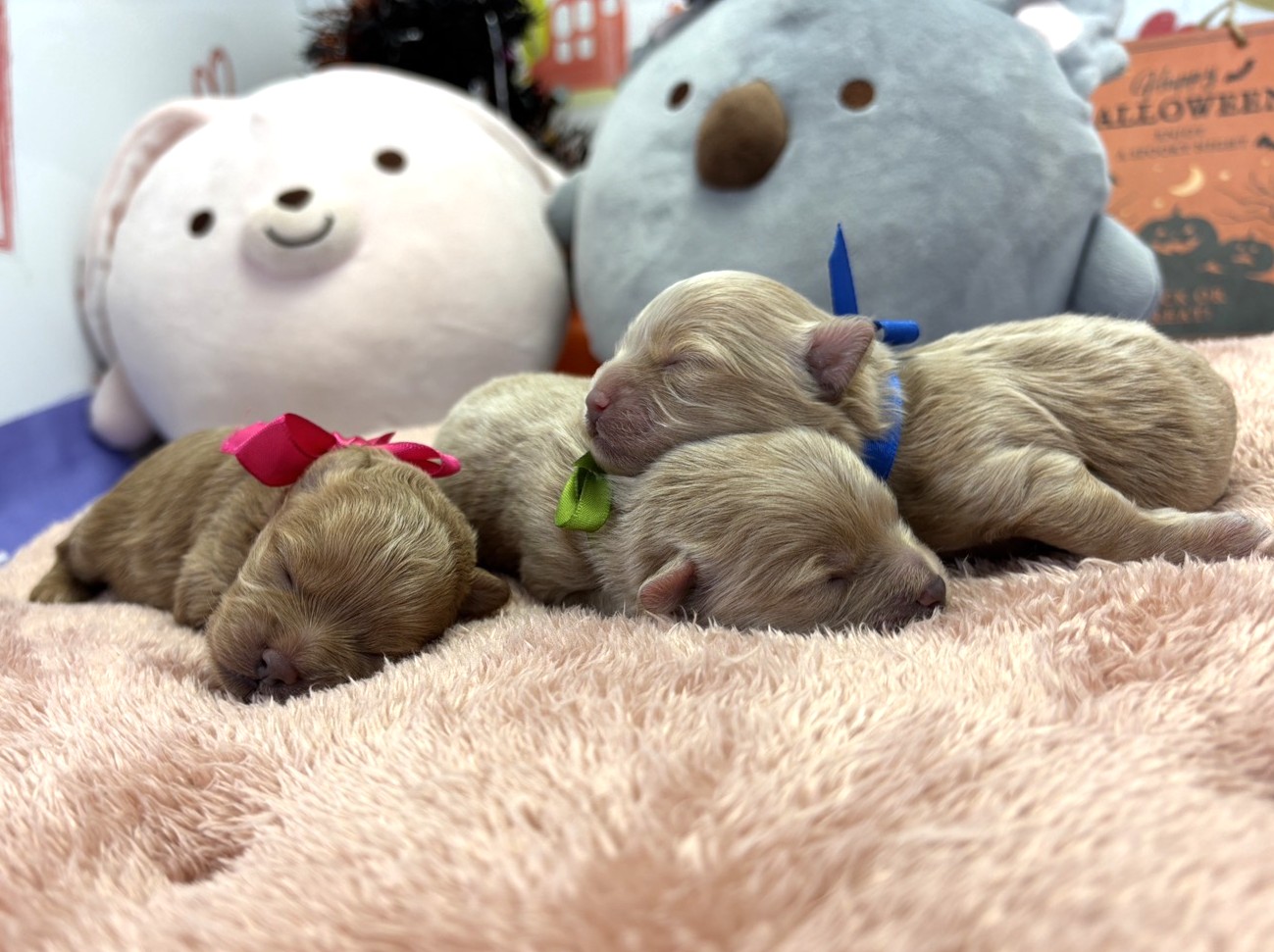 赤ちゃん写真1-3