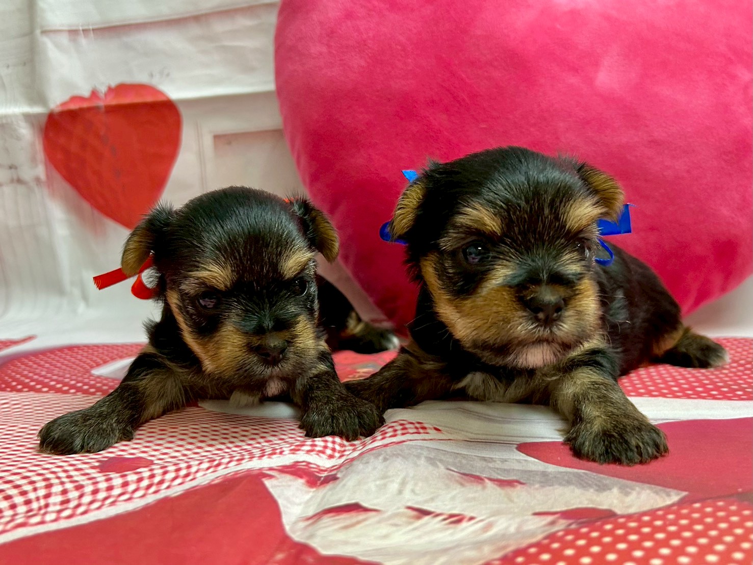 赤ちゃん写真1-3