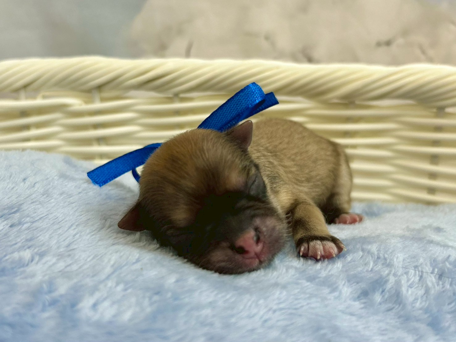 赤ちゃん写真1-1