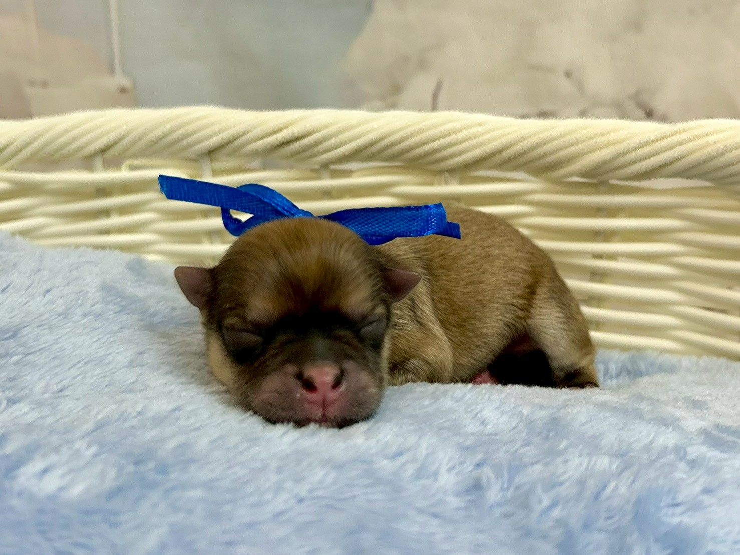 赤ちゃん写真1-2