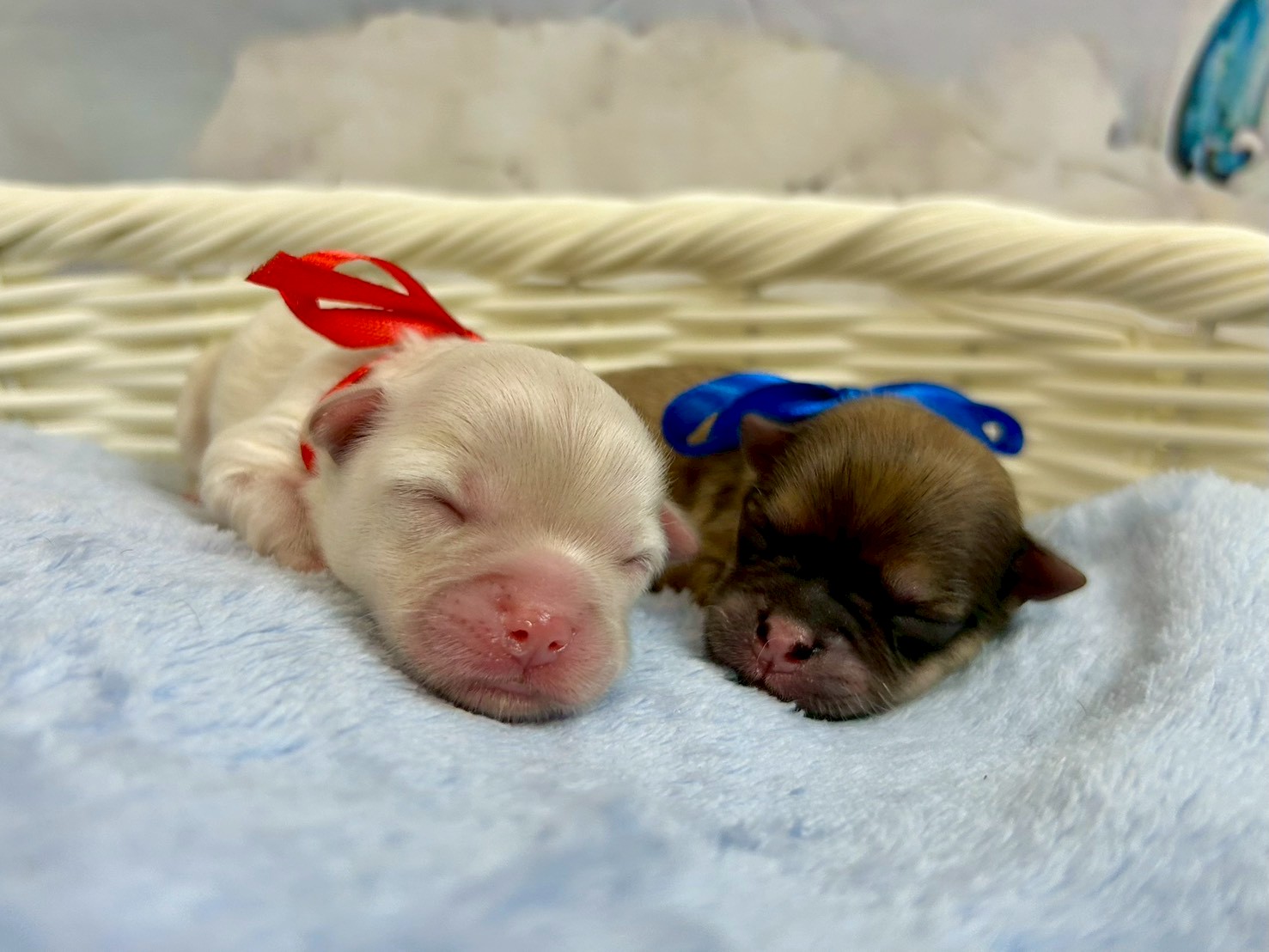 赤ちゃん写真1-3