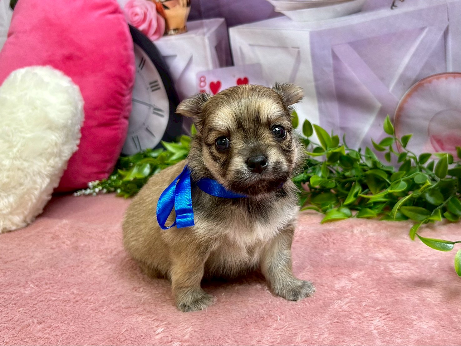 赤ちゃん写真2-1