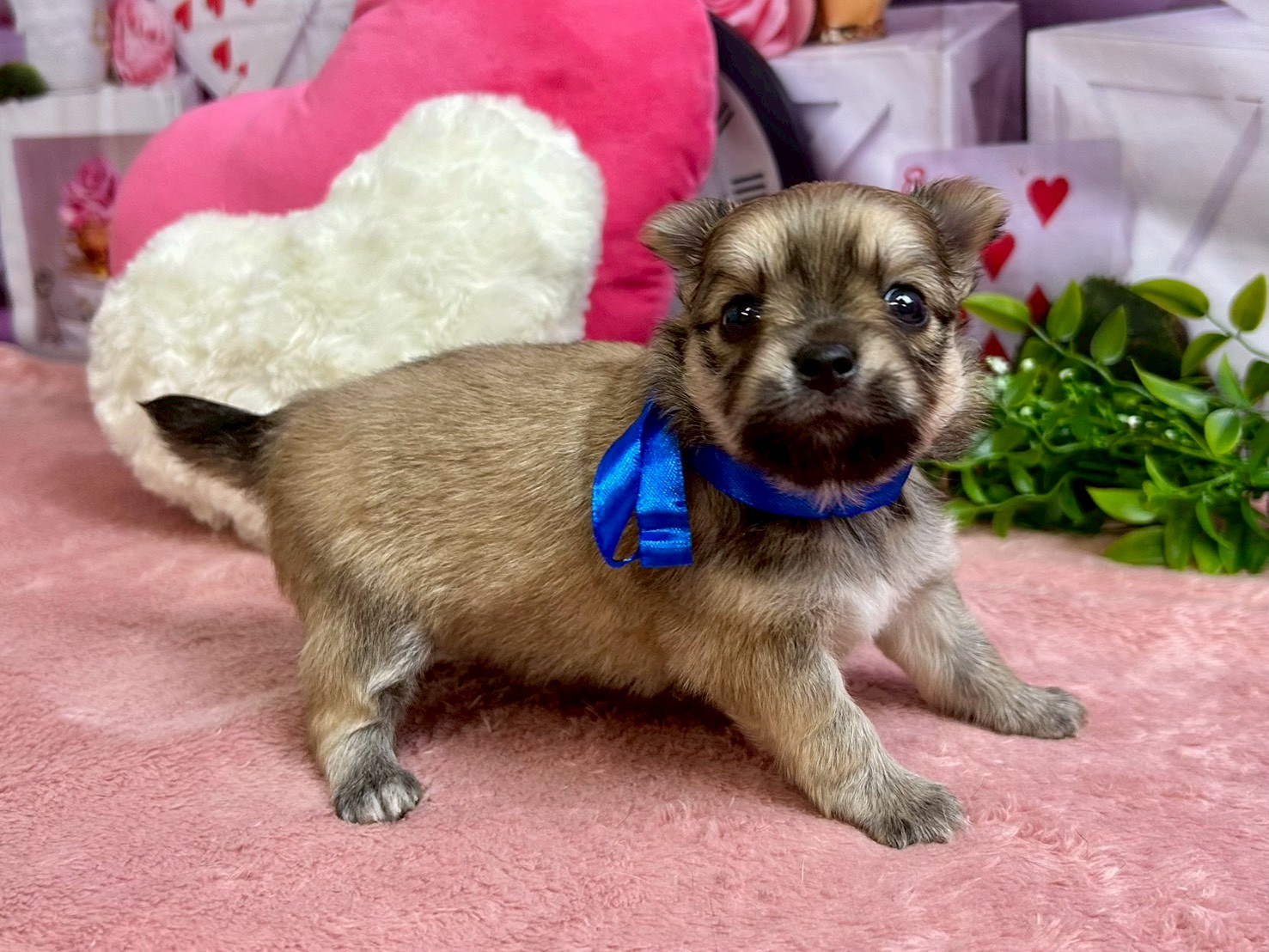 赤ちゃん写真2-2