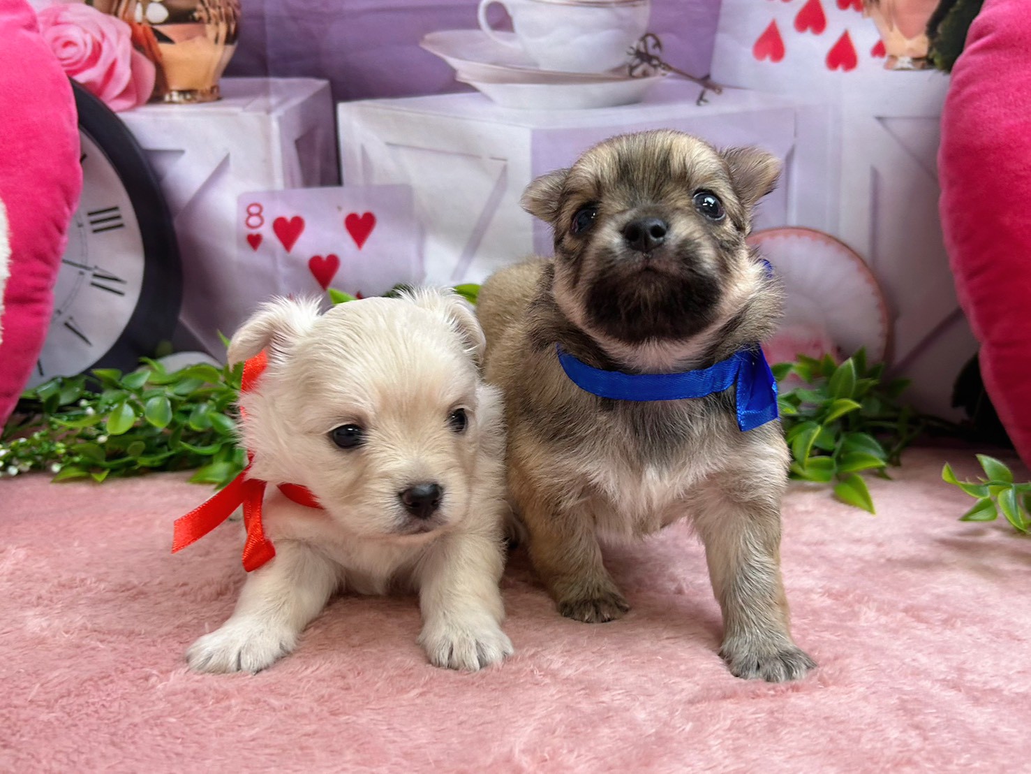 赤ちゃん写真2-3