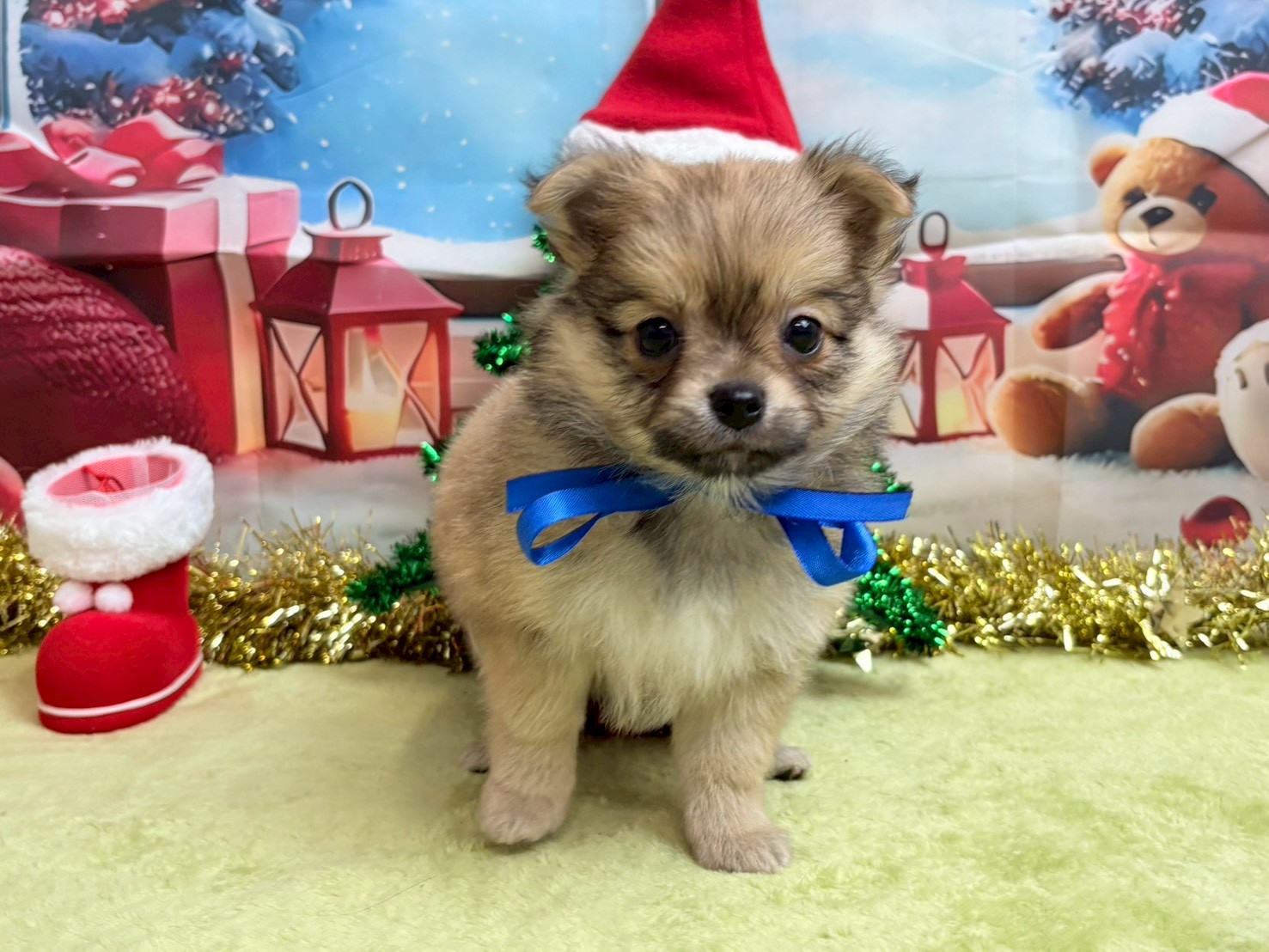 赤ちゃん写真3-1