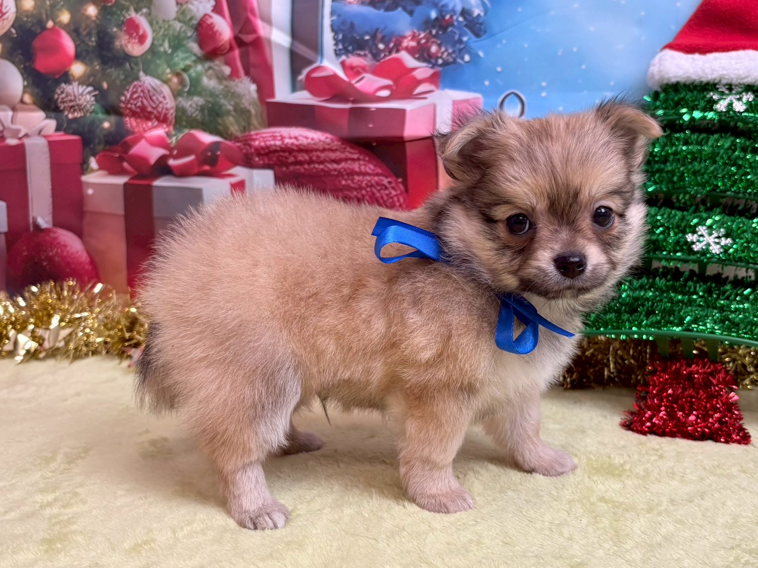 赤ちゃん写真3-2