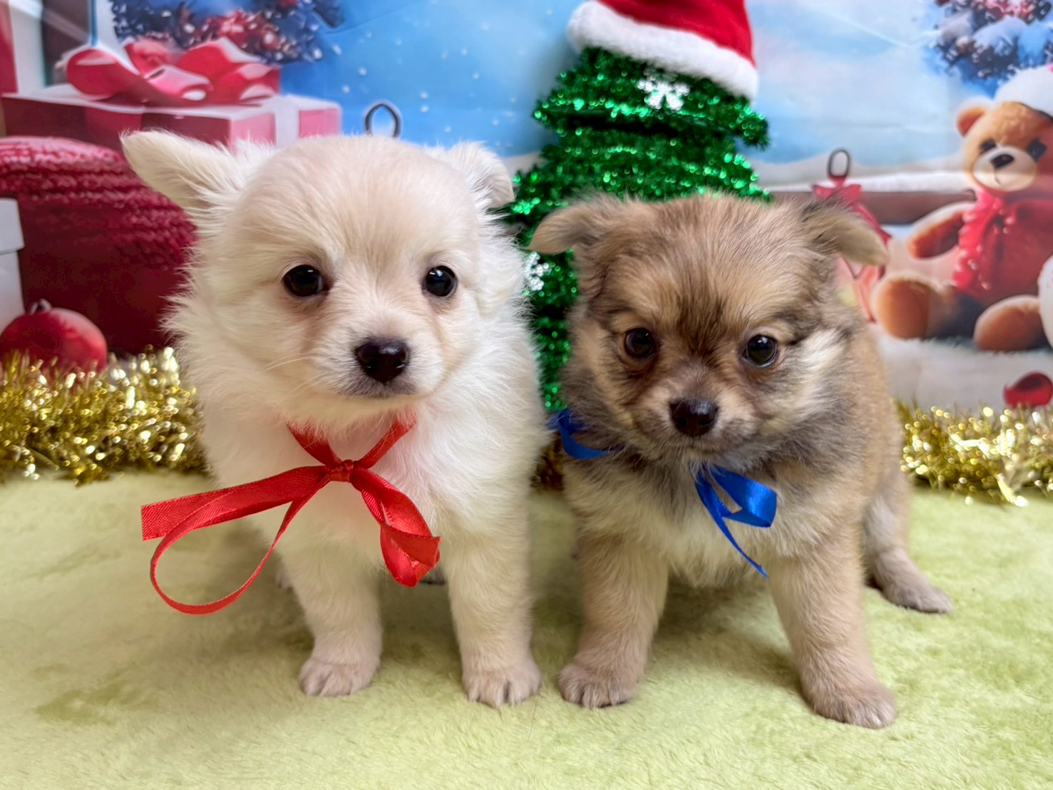 赤ちゃん写真3-3