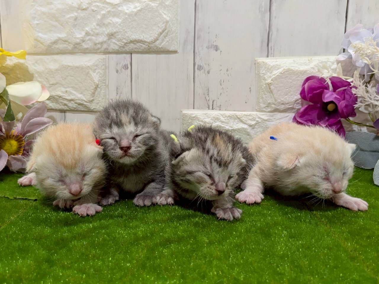 赤ちゃん写真1-3