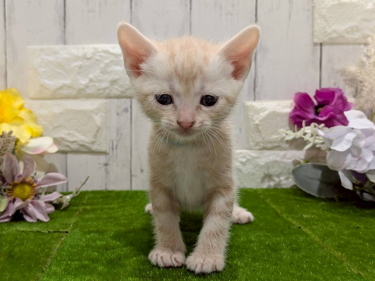 赤ちゃん写真2-1